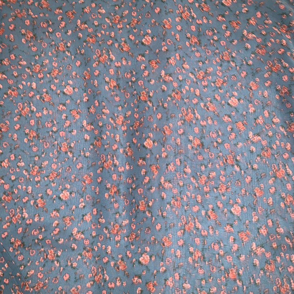 Robin-K Sheer Floral Western Button Down Blouse Sm - Picture 5 of 7